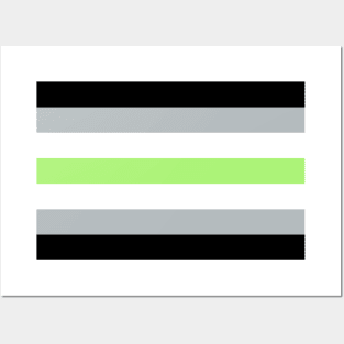 Agender Flag Posters and Art